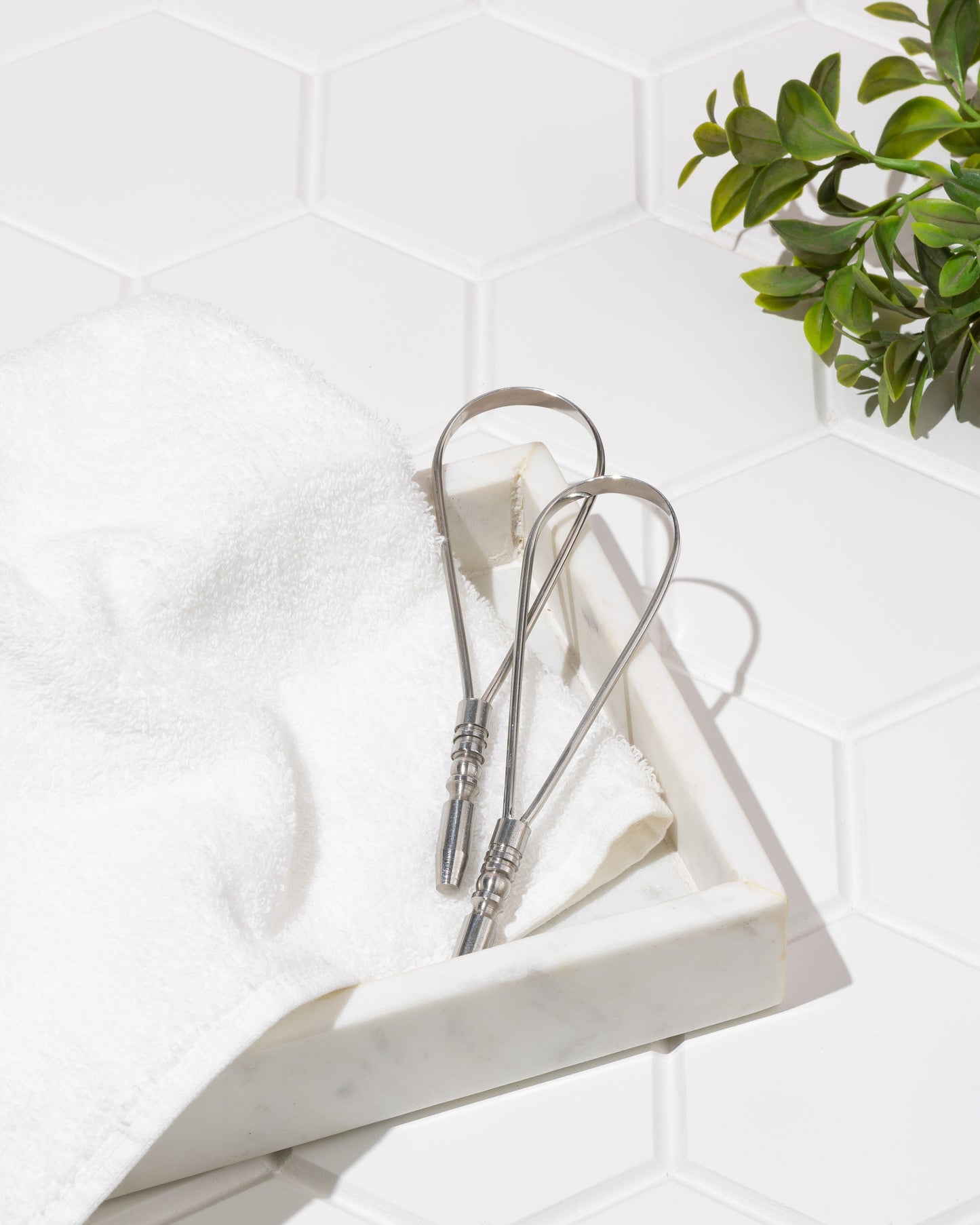 Silver Steel Tongue Cleaner