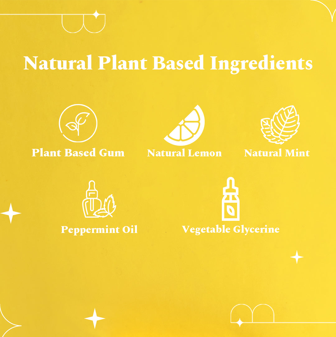 Plastic Free Chewing Gum Combo