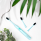 Electric Toothbrush + Brush Heads Model 002 - Seaside Mint